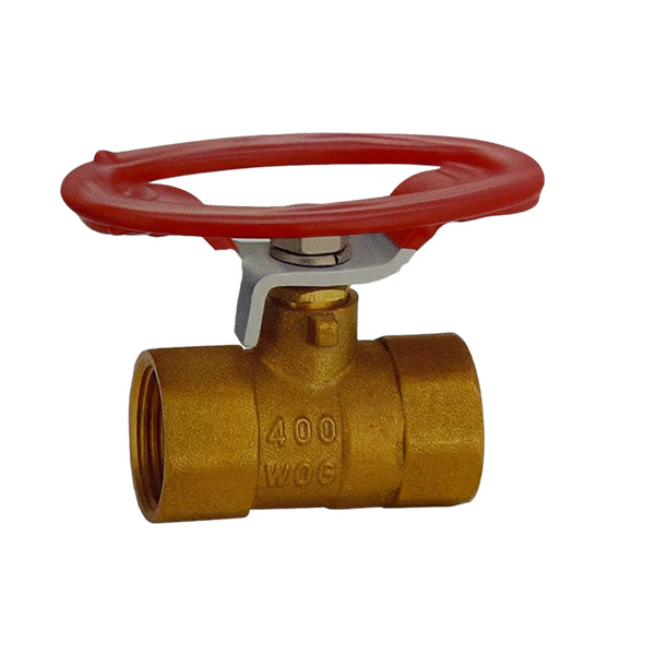 DY-202